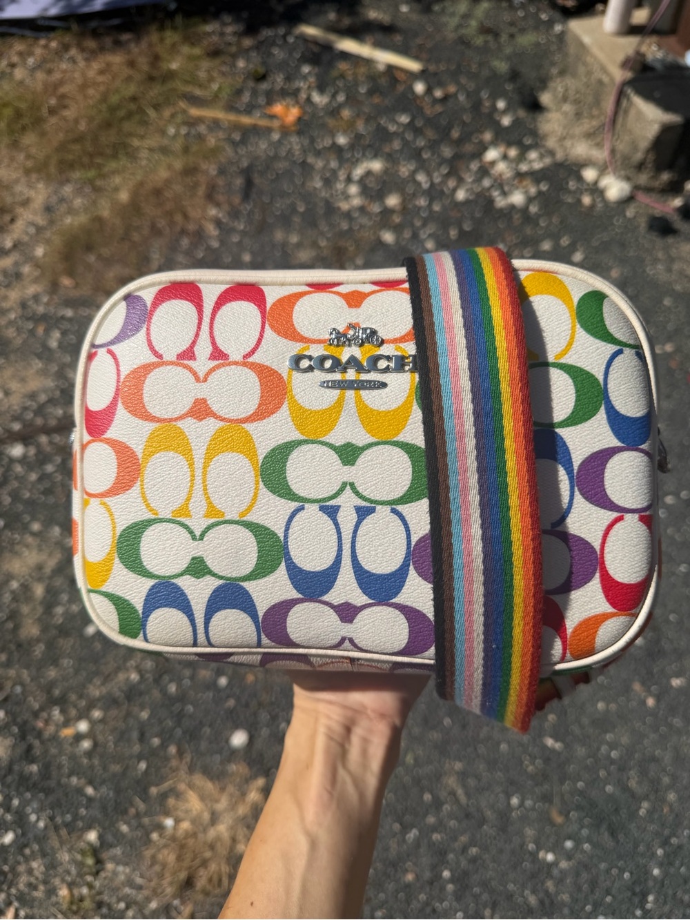 Coach Rainbow Camera Bag (Large)